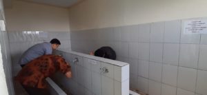 FOTO MASJID 3